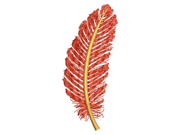Red Decorative Feather Embroidery: A Vibrant Digital Asset for Creators
